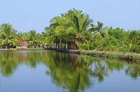 Munroe Island